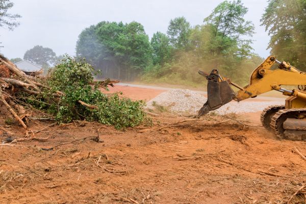Ground Clearing in Rocklin