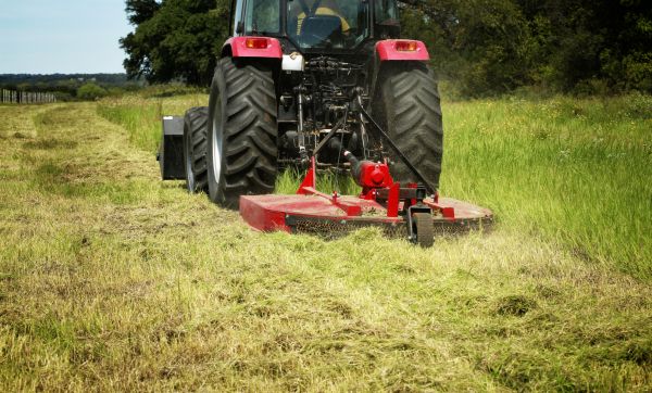 Brush Clearing Service in Rocklin