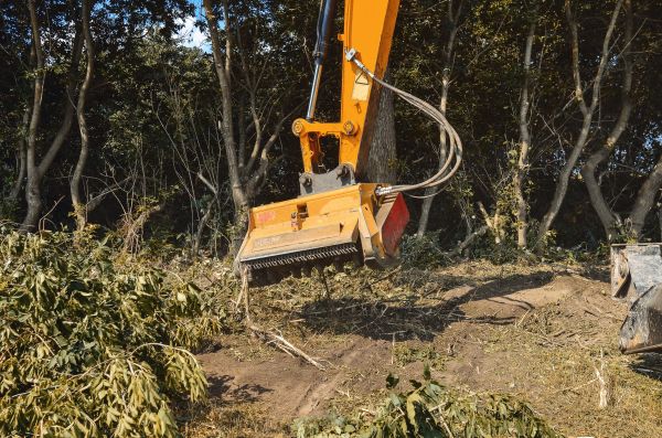 Brush Removal Service in Rocklin