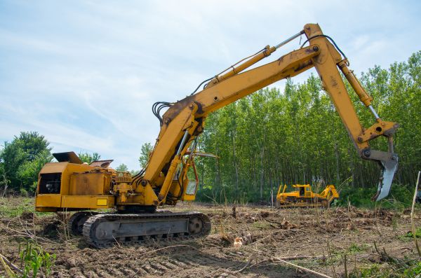 Cost of Farm Clearing in Rocklin