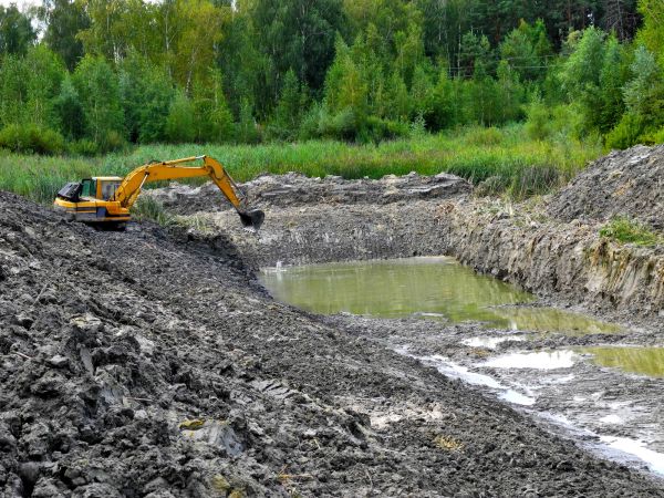 Cost of Lake Lot Clearing in Rocklin