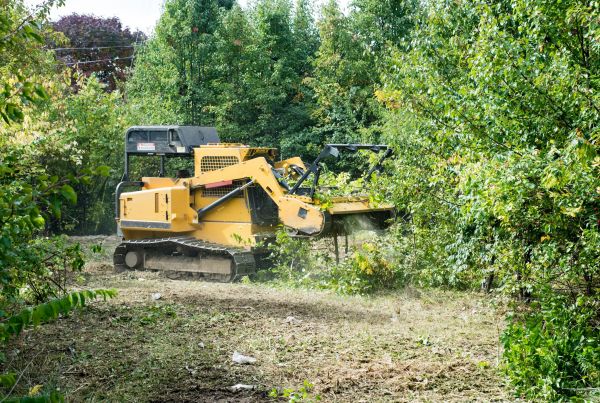 Cost of Pathway Clearing in Rocklin