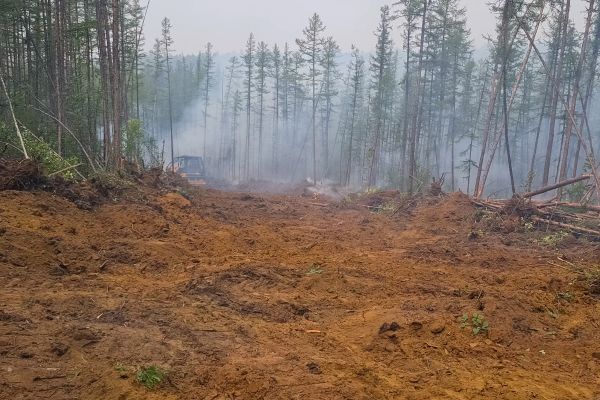 Cost of Hill Clearing in Rocklin