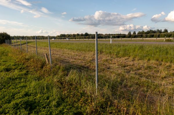 Cost of Property Line Clearing in Rocklin