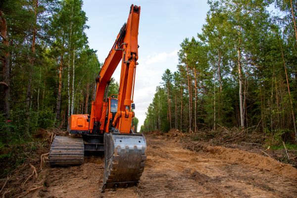Cost of Backhoe Land Clearing in Rocklin