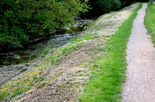 Cost of Trail Cutting in Rocklin