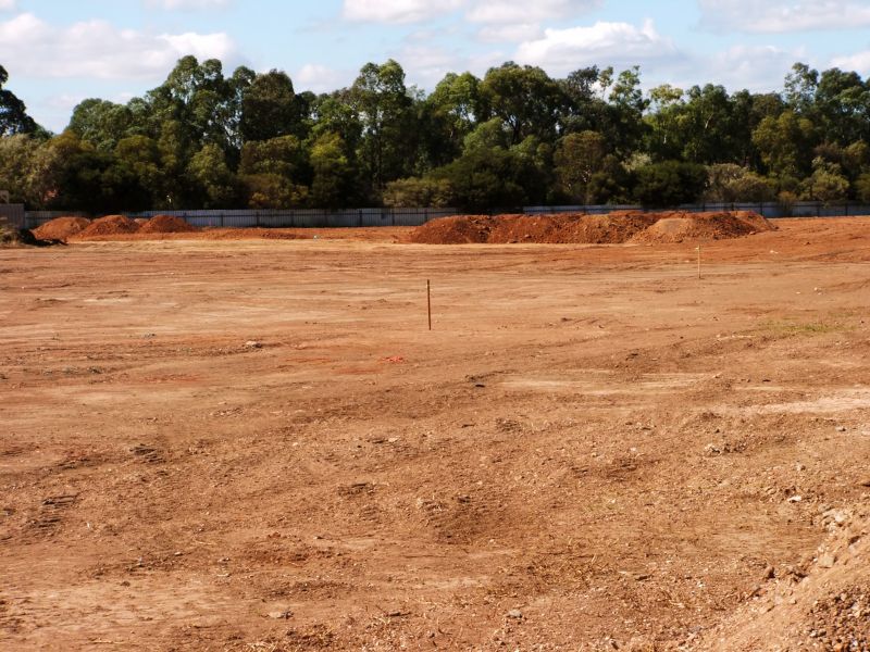 Commercial Land Clearing